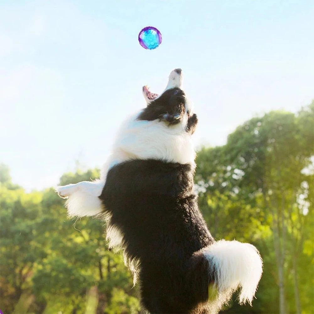 🐶 Quietschender Hundeball aus Naturgummi – Elastisches Kauspielzeug mit Sound