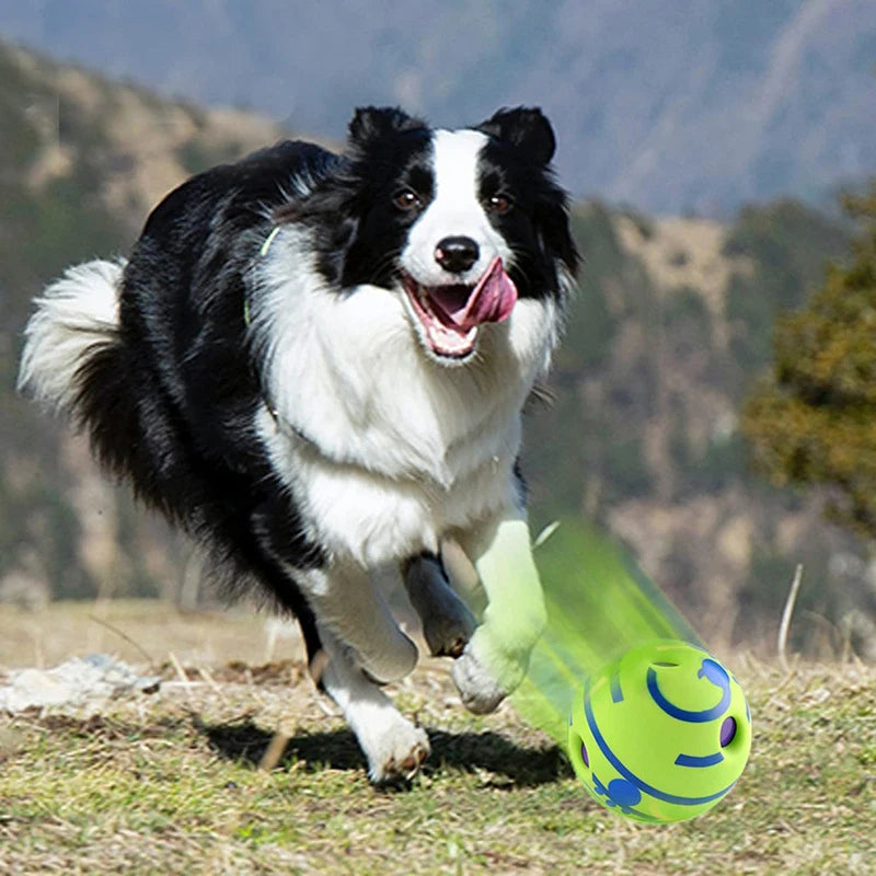 🐶 Wobble Giggle Hundeball – Interaktiver Spielball mit Geräusch