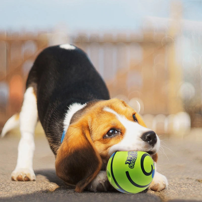 🐶 Wobble Giggle Hundeball – Interaktiver Spielball mit Geräusch